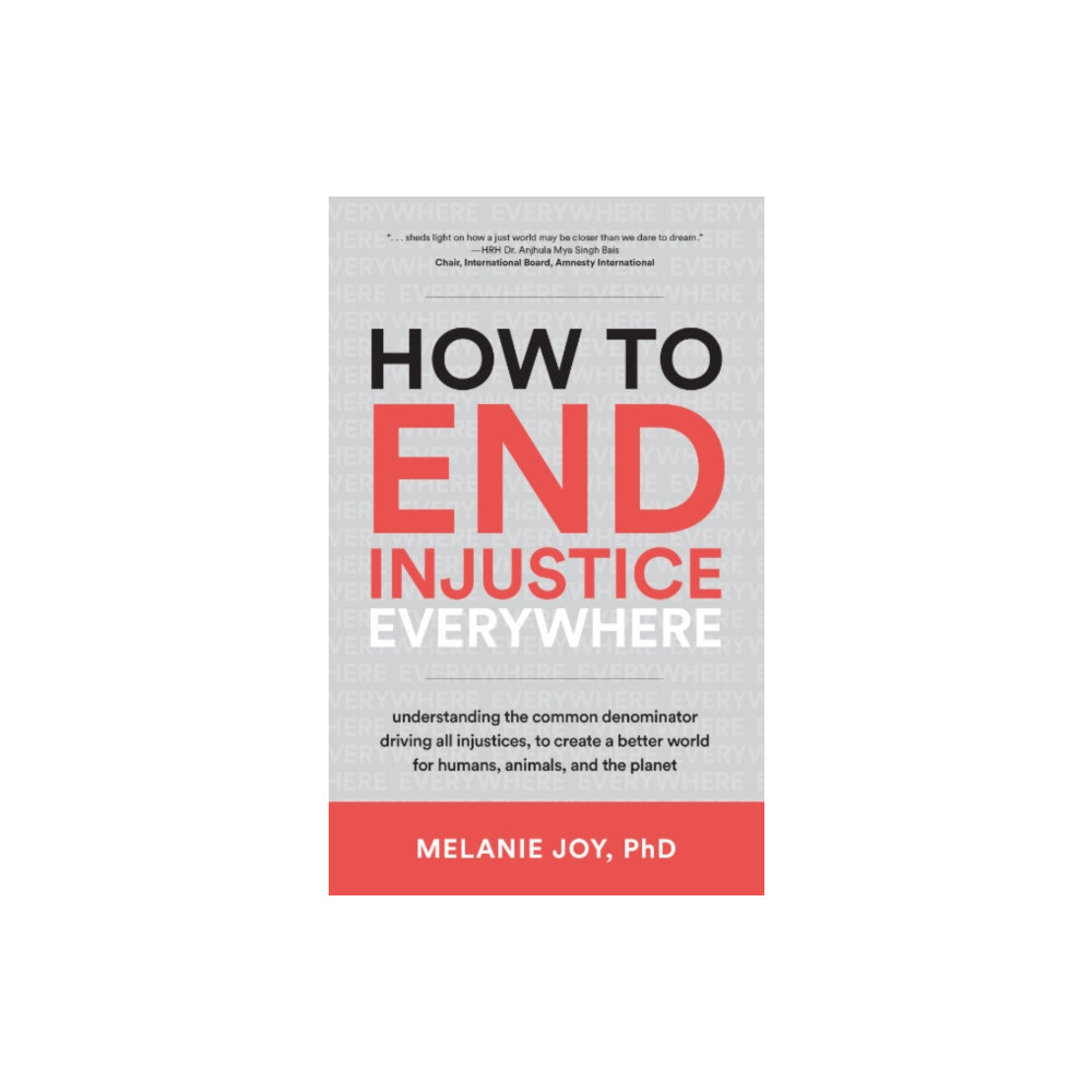 Produktbild för How to End Injustice Everywhere (häftad, eng)