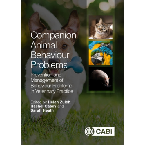 CABI Publishing Companion Animal Behaviour Problems (häftad, eng)