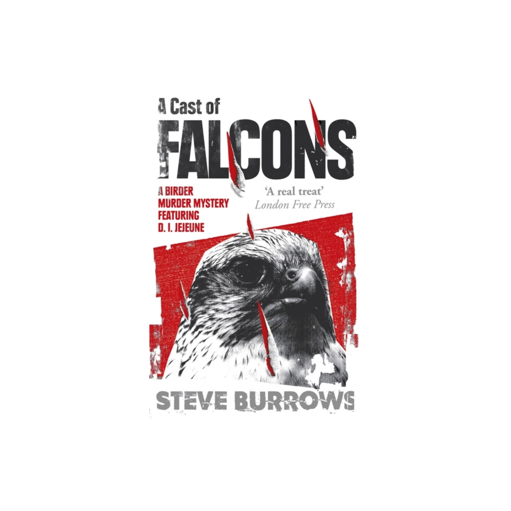 Produktbild för A Cast of Falcons (häftad, eng)