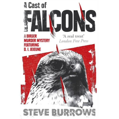 Oneworld Publications A Cast of Falcons (häftad, eng)