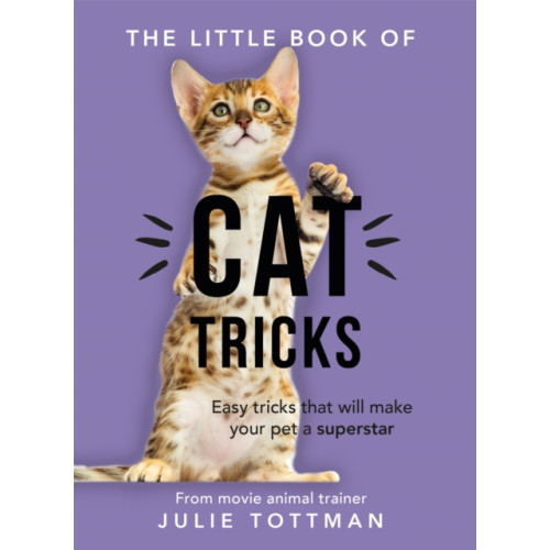 Orion Publishing Co The Little Book of Cat Tricks (häftad, eng)
