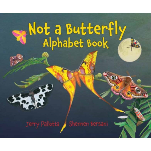 Charlesbridge Publishing,U.S. Not a Butterfly Alphabet Book (häftad, eng)