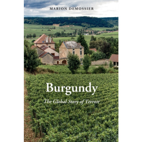 Berghahn Books Burgundy (häftad, eng)