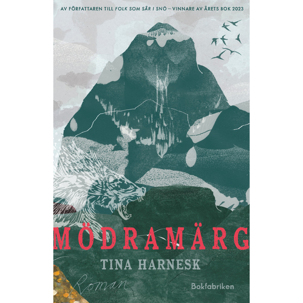 Produktbild för Mödramärg (inbunden)