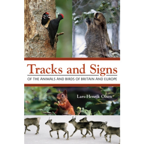 Princeton University Press Tracks and Signs of the Animals and Birds of Britain and Europe (häftad, eng)