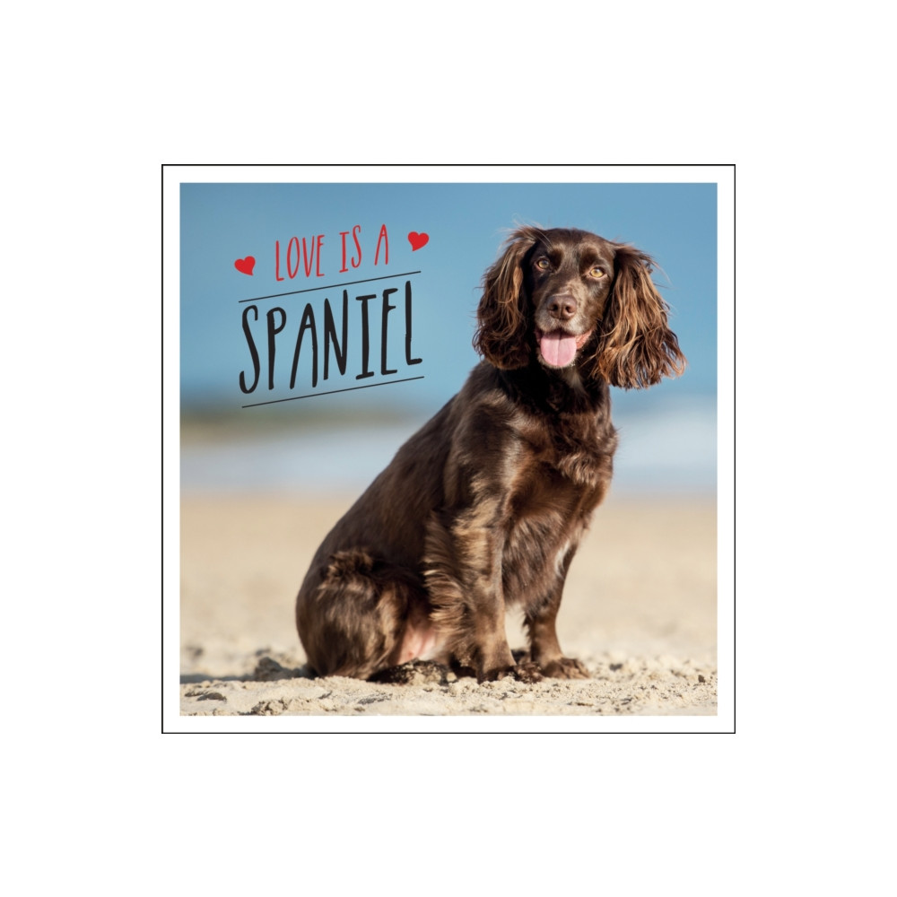 Produktbild för Love is a Spaniel (inbunden, eng)