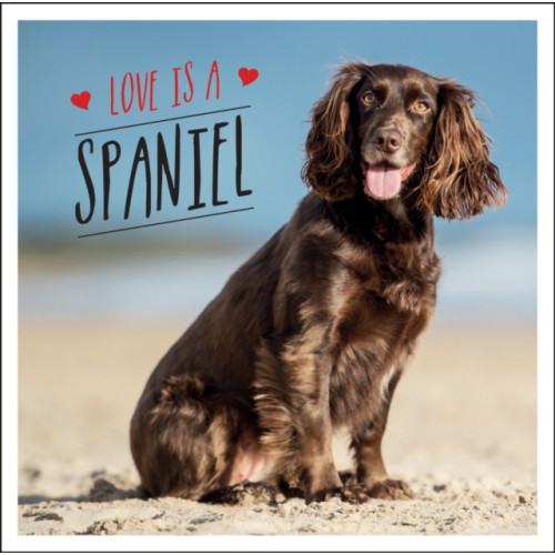 Octopus publishing group Love is a Spaniel (inbunden, eng)