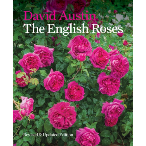 Octopus publishing group The English Roses (inbunden, eng)