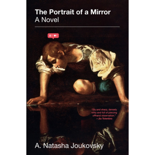 Abrams The Portrait of a Mirror: A Novel (inbunden, eng)