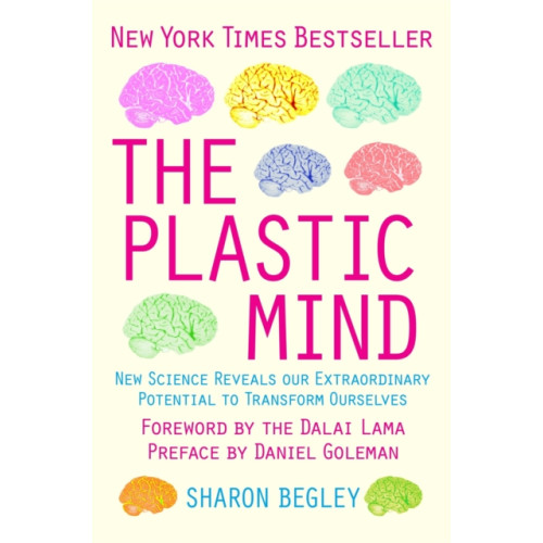 Little, Brown Book Group The Plastic Mind (häftad, eng)