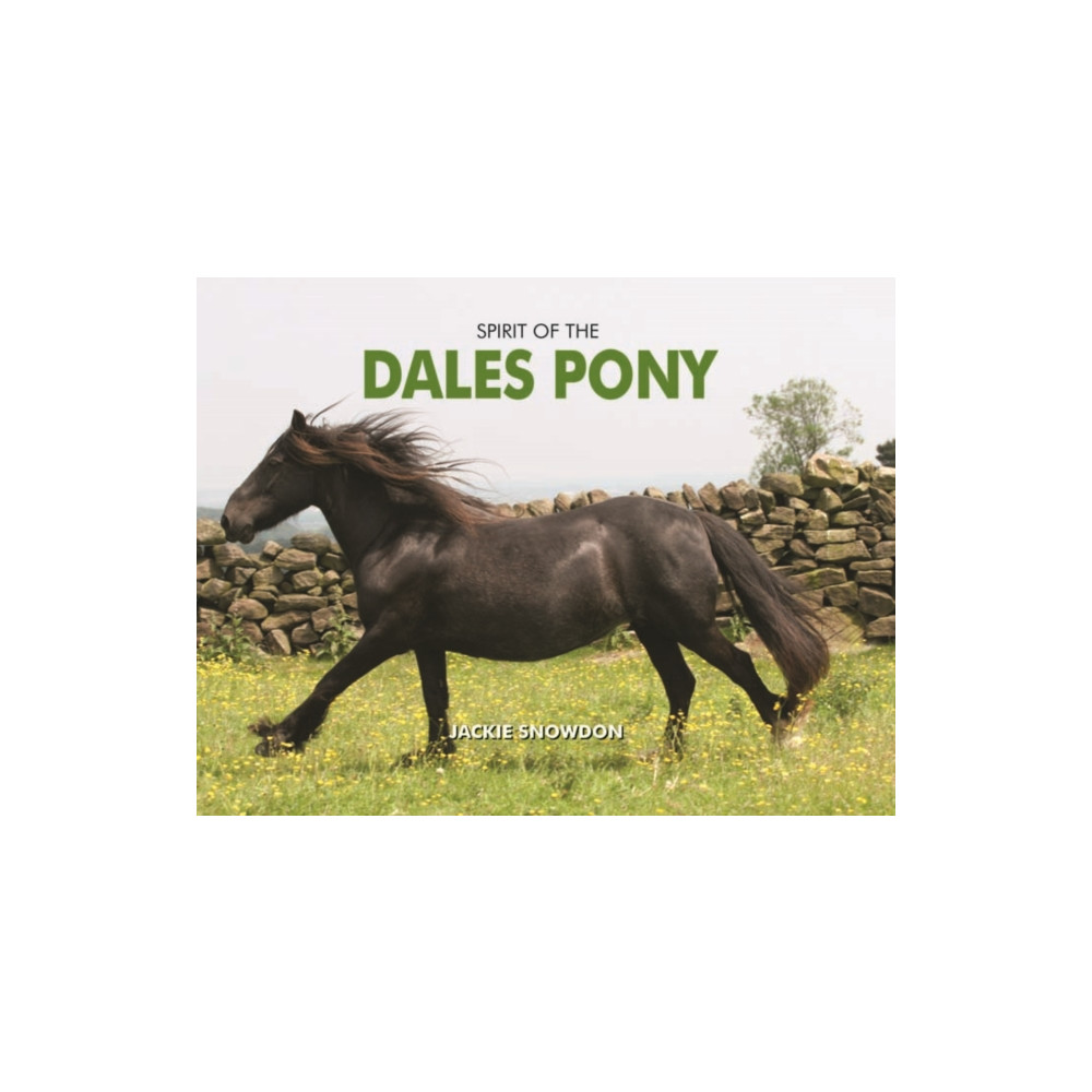 Produktbild för Spirit of the Dales Pony (inbunden, eng)