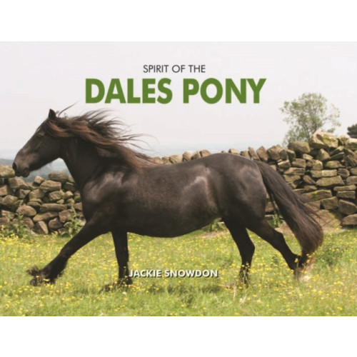 PiXZ Books Spirit of the Dales Pony (inbunden, eng)