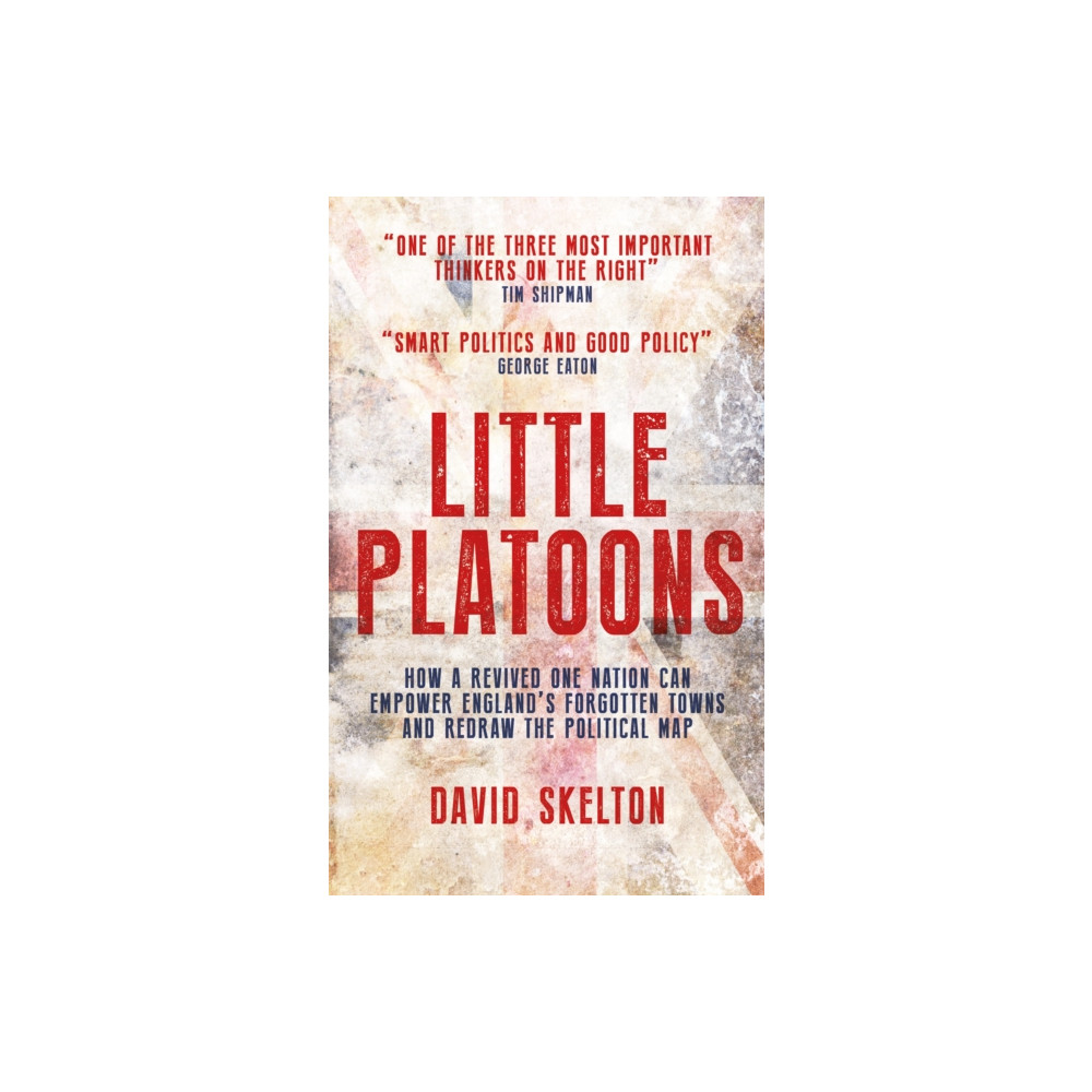 Produktbild för Little Platoons (häftad, eng)