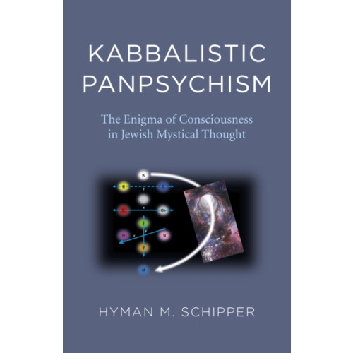 Collective Ink Kabbalistic Panpsychism (häftad, eng)