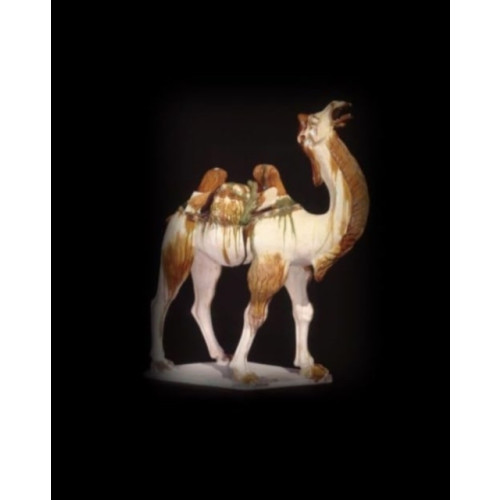 British museum press Silk Roads (inbunden, eng)