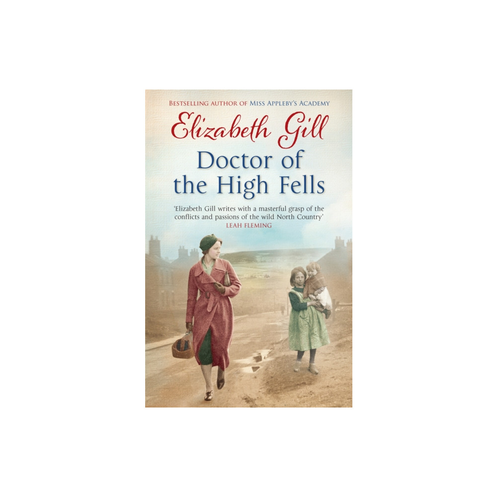Produktbild för Doctor of the High Fells (häftad, eng)