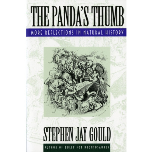 WW Norton & Co The Panda's Thumb (häftad, eng)