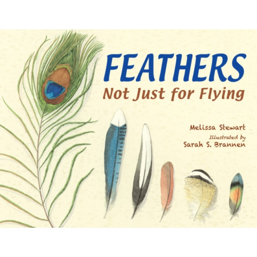 Charlesbridge Publishing,U.S. Feathers (häftad, eng)