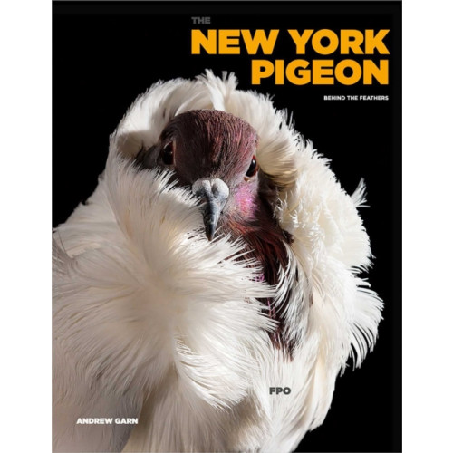 powerHouse Books,U.S. The New York Pigeon (inbunden, eng)