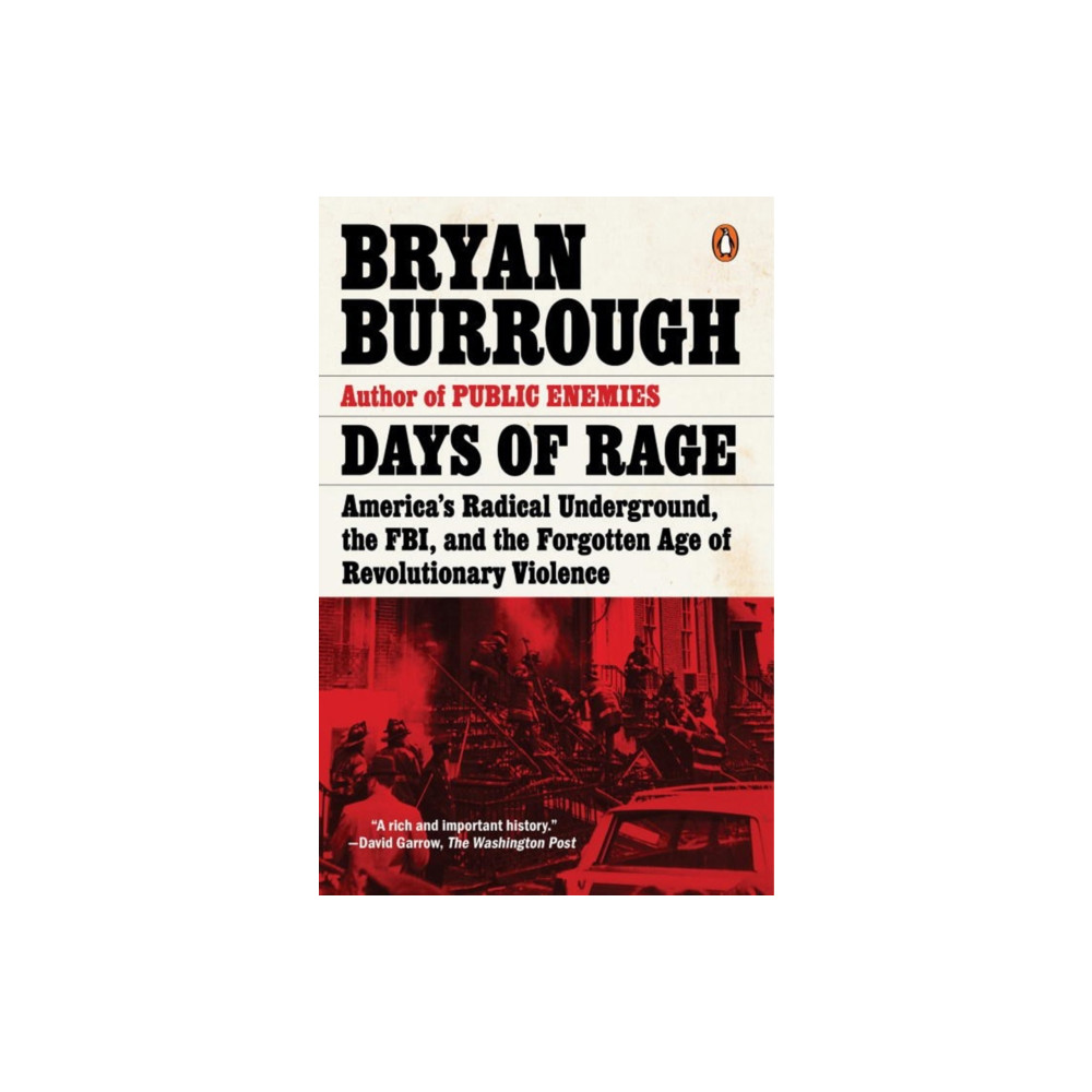 Produktbild för Days of Rage (häftad, eng)