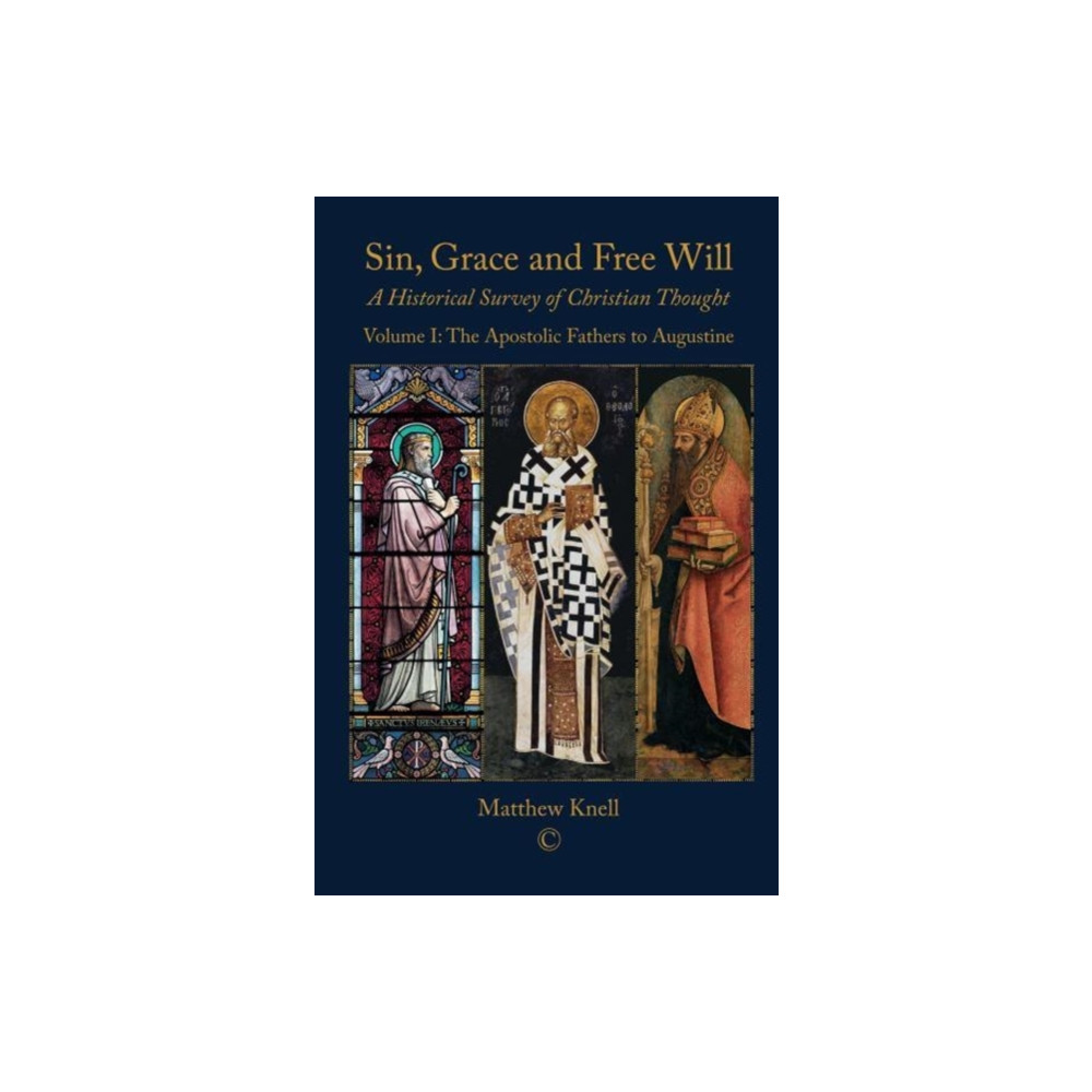 Produktbild för Sin, Grace and Free Will I (häftad, eng)