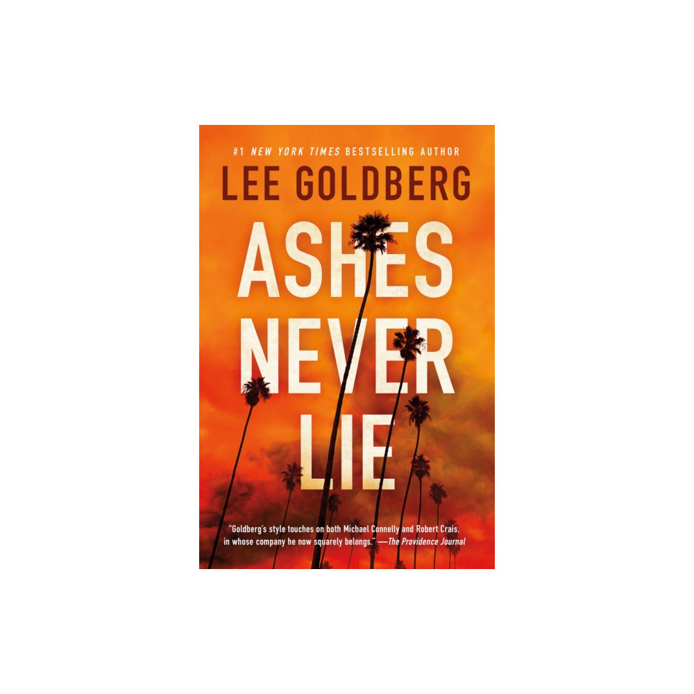 Produktbild för Ashes Never Lie (häftad, eng)