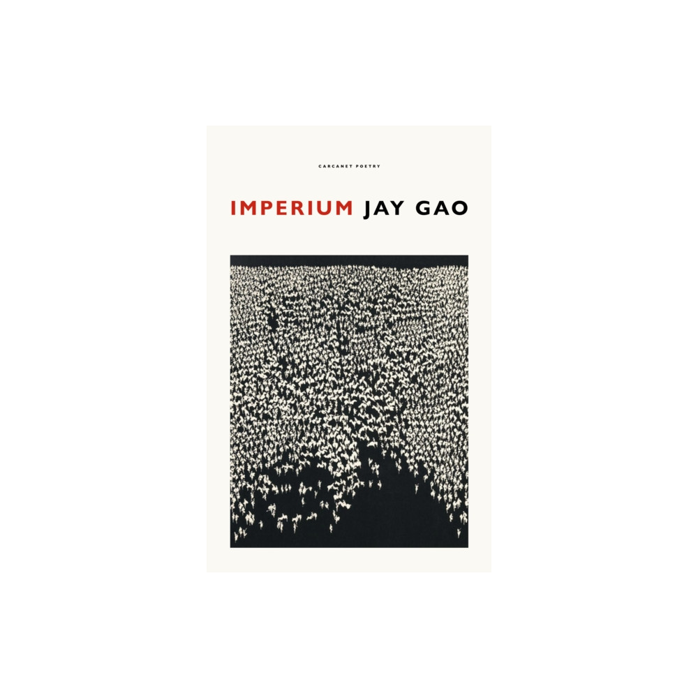 Produktbild för Imperium (häftad, eng)