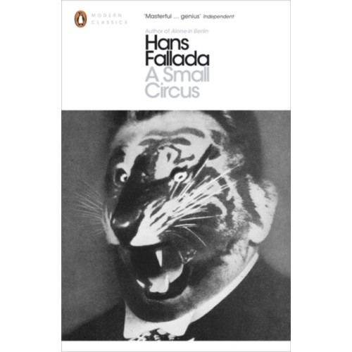 Penguin books ltd A Small Circus (häftad, eng)