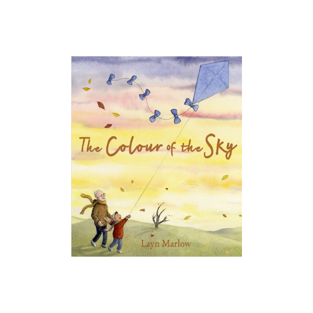 Produktbild för The Colour of the Sky (häftad, eng)