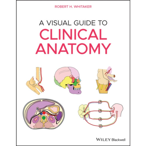 John Wiley And Sons Ltd A Visual Guide to Clinical Anatomy (häftad, eng)