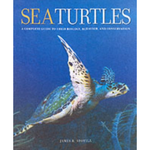 Johns Hopkins University Press Sea Turtles (inbunden, eng)