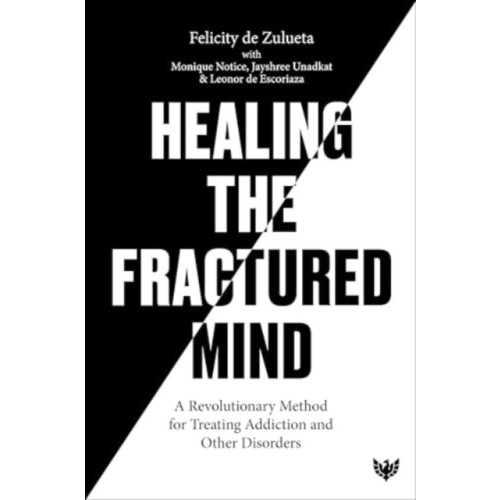 Karnac Books Healing the Fractured Mind (häftad, eng)