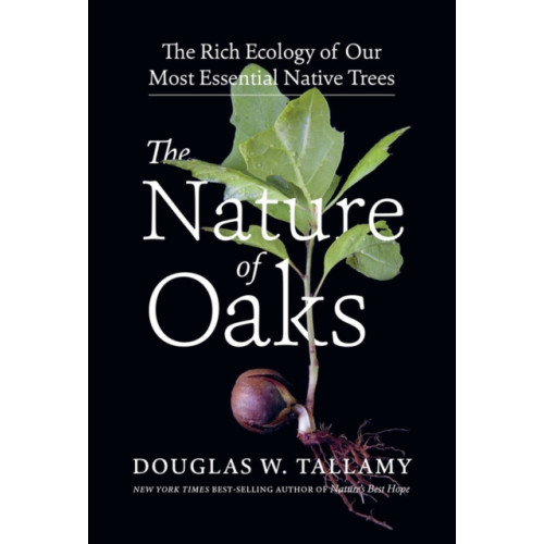 Workman Publishing The Nature of Oaks (inbunden, eng)