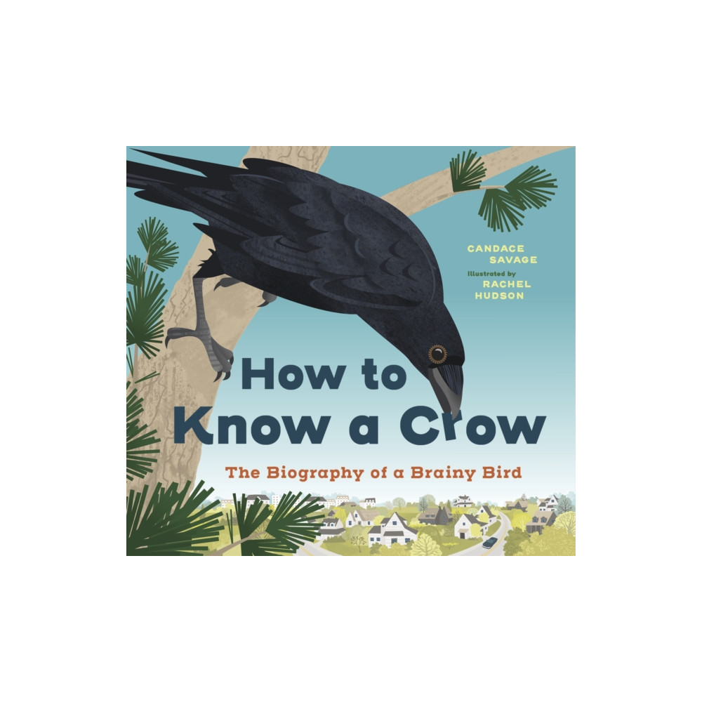 Produktbild för How to Know a Crow (inbunden, eng)