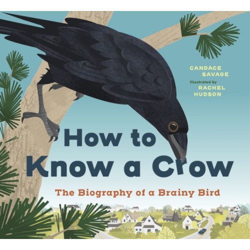 Greystone Books,Canada How to Know a Crow (inbunden, eng)