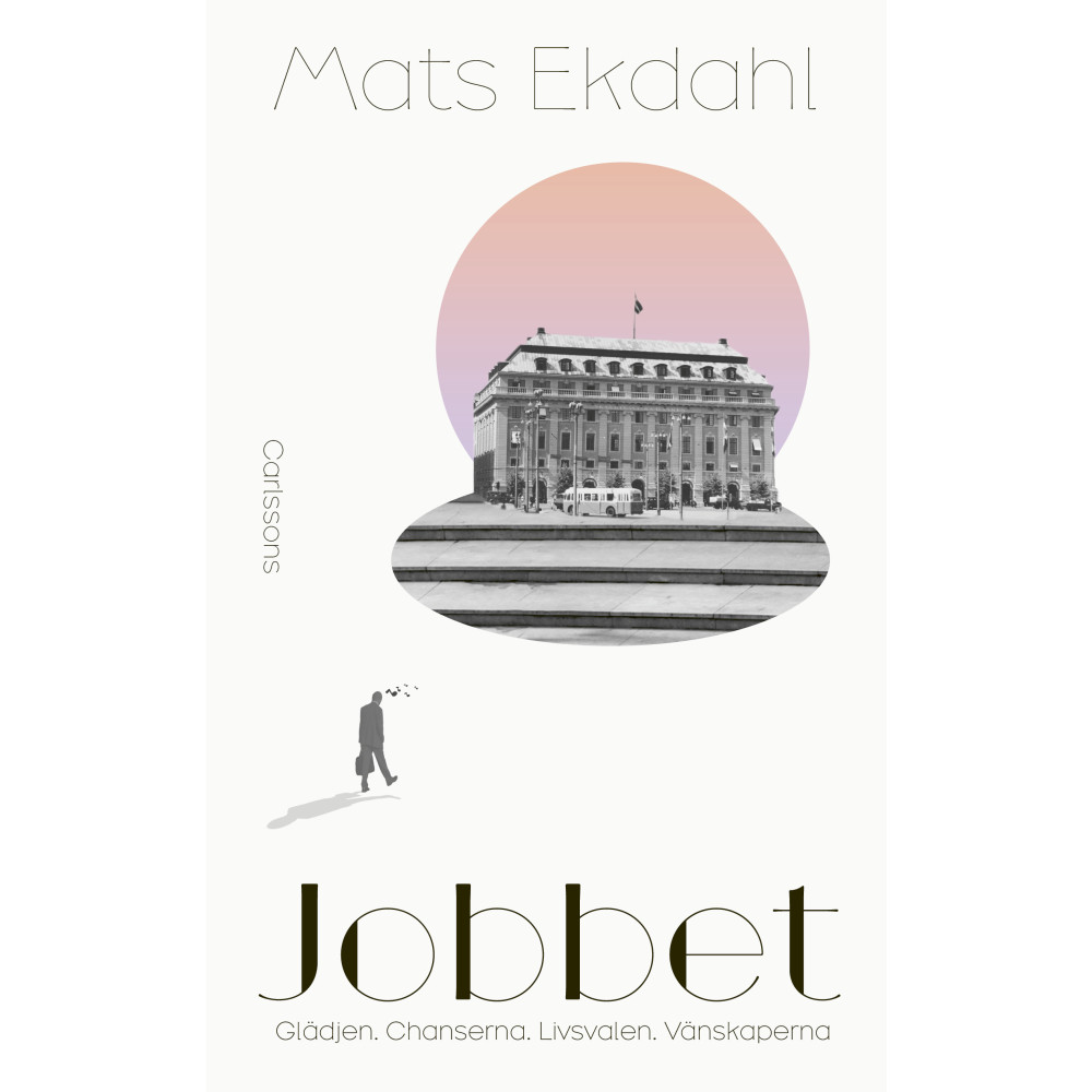 Produktbild för Jobbet : glädjen, chanserna, livsvalen, vänskaperna (inbunden)