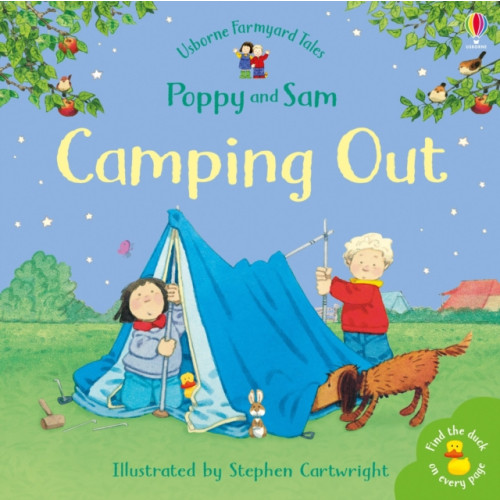 Usborne Publishing Ltd Camping Out (häftad, eng)