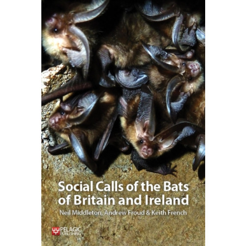 Pelagic Publishing Social Calls of the Bats of Britain and Ireland (häftad, eng)