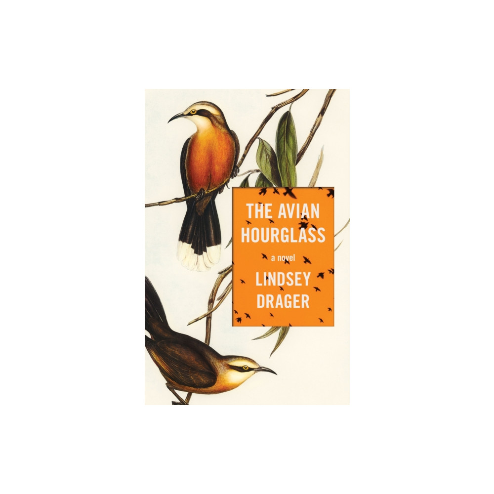 Produktbild för The Avian Hourglass (häftad, eng)