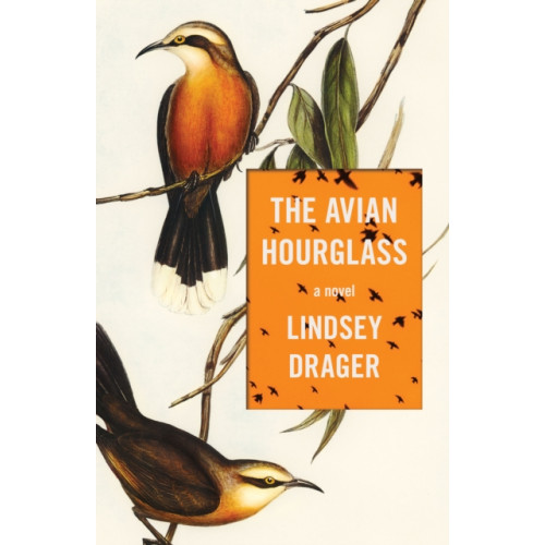 Dzanc Books The Avian Hourglass (häftad, eng)