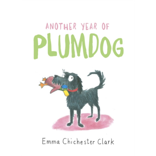 Vintage Publishing Another Year of Plumdog (inbunden, eng)