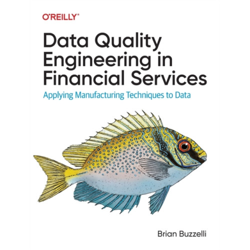 O'Reilly Media Data Quality Engineering in Financial Services (häftad, eng)