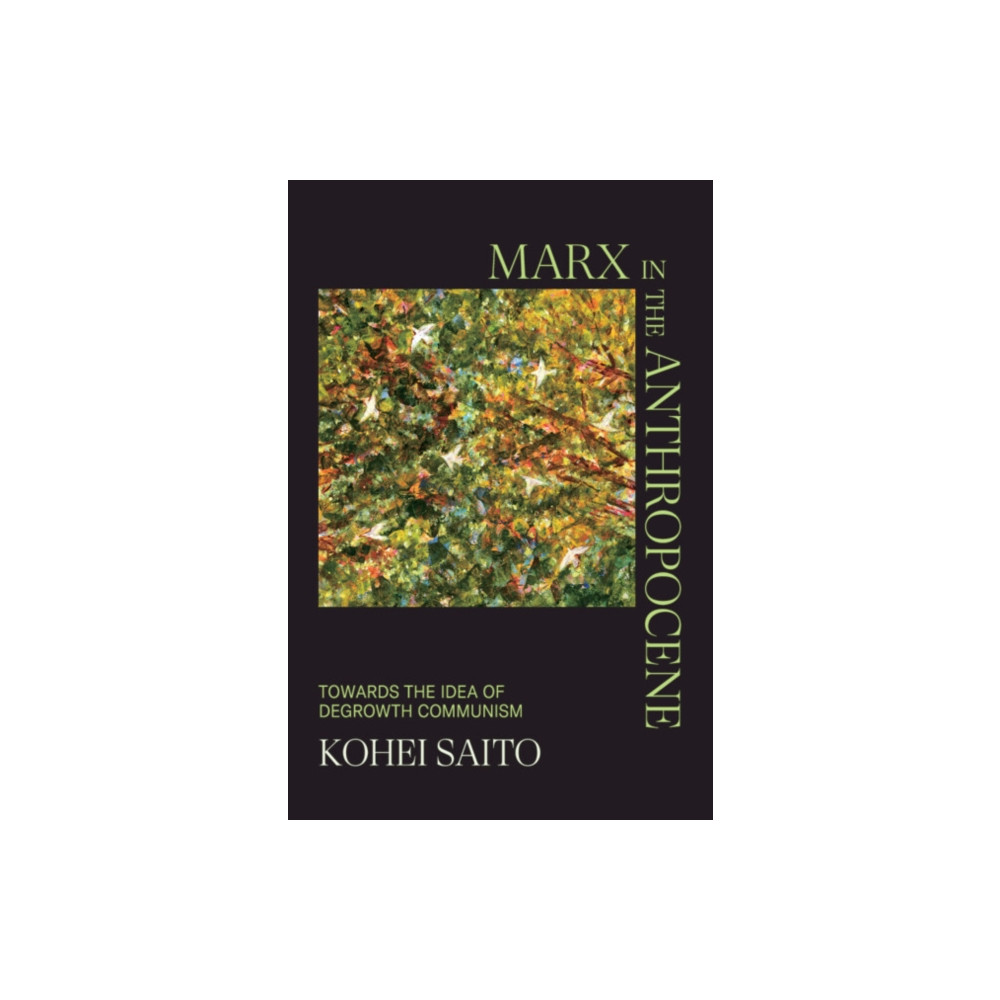 Produktbild för Marx in the Anthropocene (inbunden, eng)