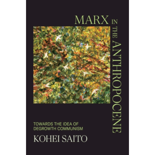 Cambridge University Press Marx in the Anthropocene (inbunden, eng)