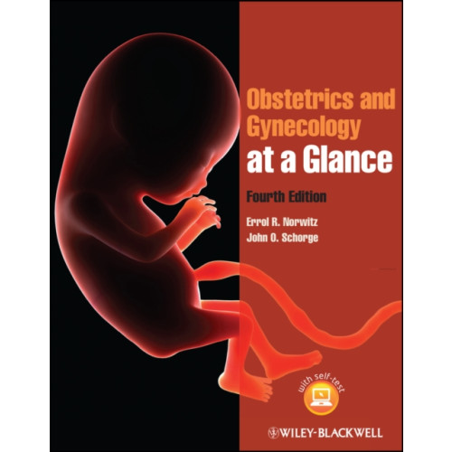 John Wiley And Sons Ltd Obstetrics and Gynecology at a Glance (häftad, eng)