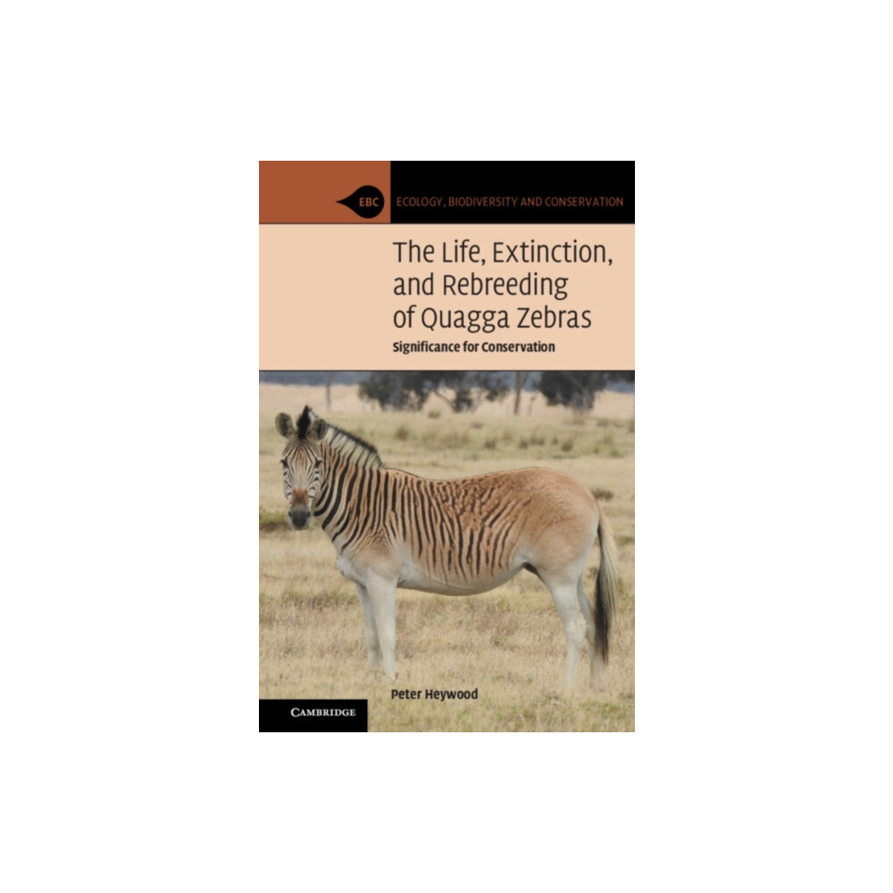 Produktbild för The Life, Extinction, and Rebreeding of Quagga Zebras (häftad, eng)