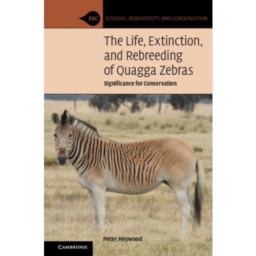 Cambridge University Press The Life, Extinction, and Rebreeding of Quagga Zebras (häftad, eng)