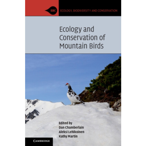 Cambridge University Press Ecology and Conservation of Mountain Birds (häftad, eng)