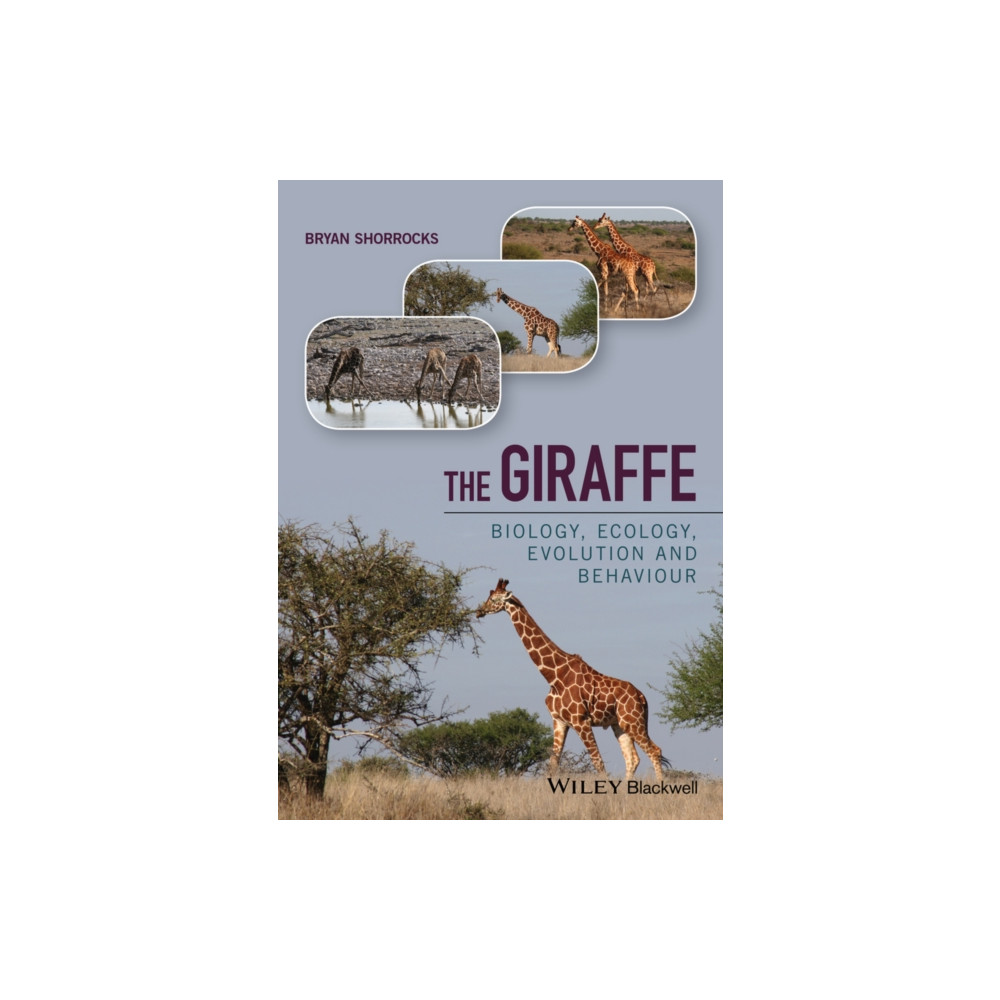 Produktbild för The Giraffe (inbunden, eng)