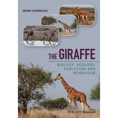 John Wiley And Sons Ltd The Giraffe (inbunden, eng)